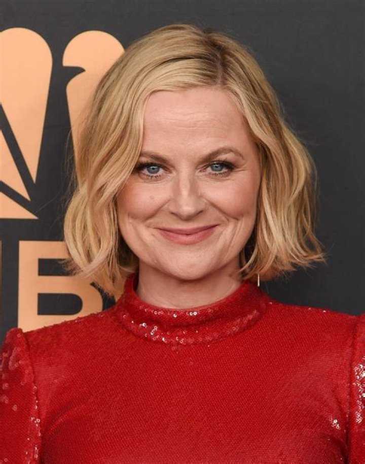Amy Poehler's Journey: Is She Pregnant Again?