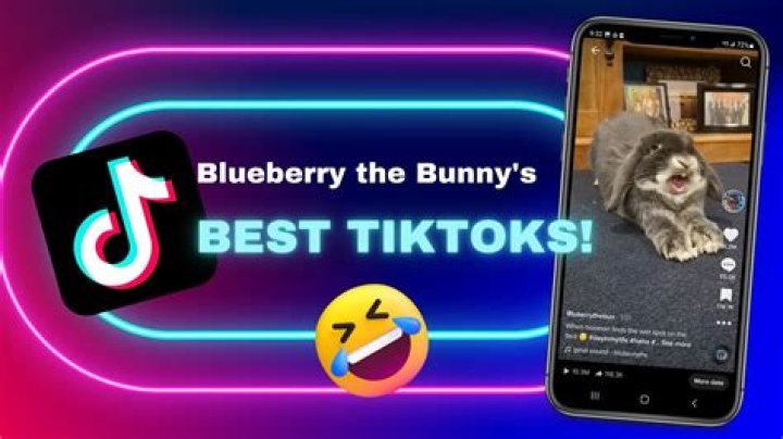 Bunnyblondy: The Enigmatic Star of Social Media
