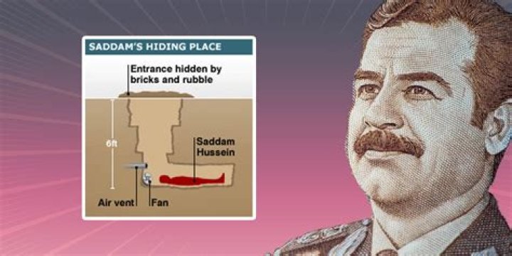 Decoding the Saddam Hussein Hiding Meme: A Cultural Phenomenon