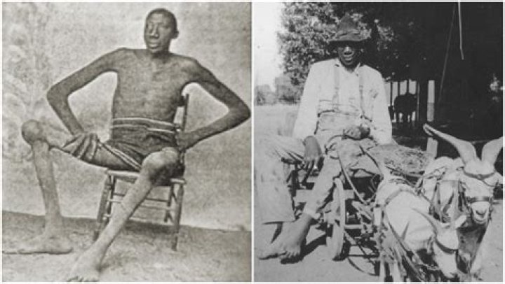 Discovering John Rogan Altura: The Height of Fame and Personality