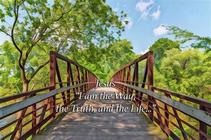 Discovering the Life and Achievements of Barbara Smits