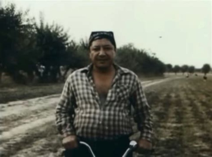 Discovering the Magic of Cine Zub: A Cinematic Journey