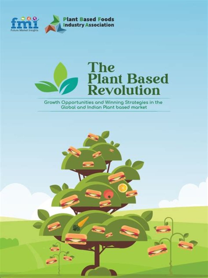 Exploring the World of Vegamoies: A Plant-Based Revolution