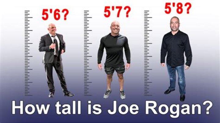 How Tall is Joe Rogan? - A Look at His Height
