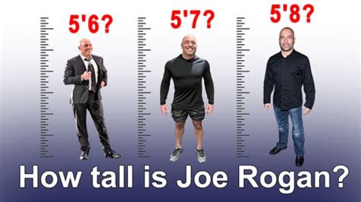 Joe Rogan's Stature: Unveiling His Towering Height