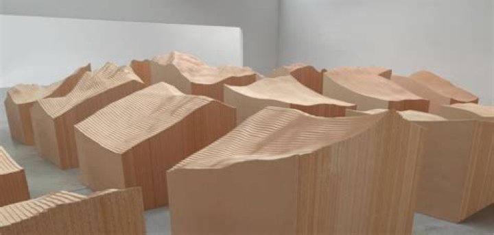 Maya Lin's Legacy: Inspiring Environmentalism and Art
