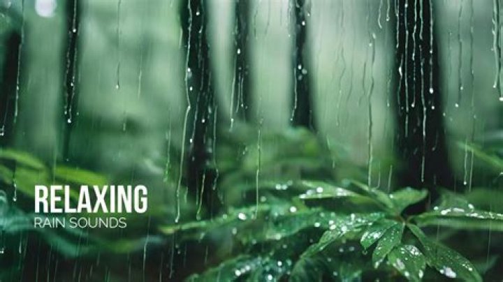 Relaxing and Refreshing Rain Sounds with Sophie: A Tranquil Escape