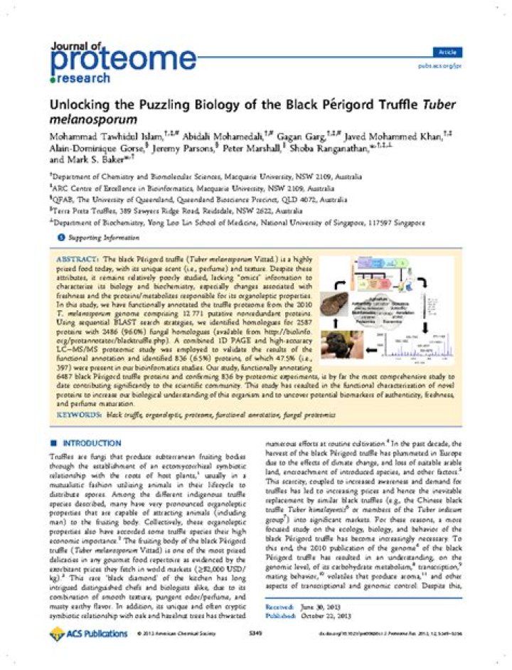 The Puzzling Nature of Black Eye Theory: A Comprehensive Examination