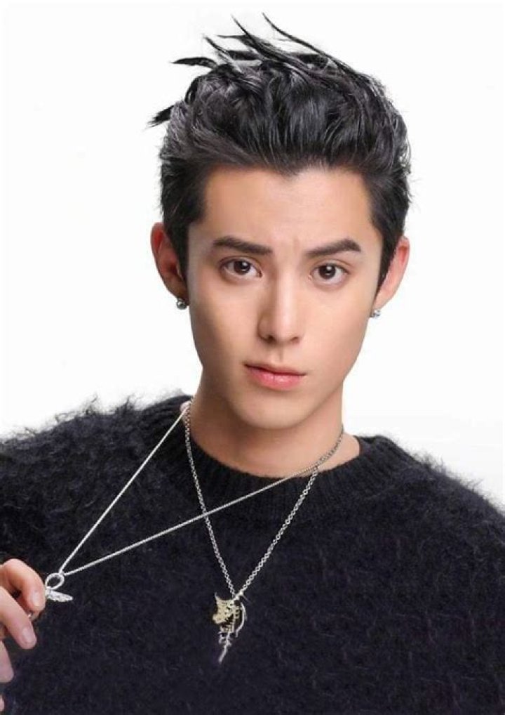 The Ultimate Guide to Dylan Wang: A Comprehensive Celebrity Profile