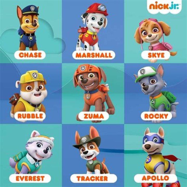 The Ultimate Guide to Paw Patrol Character Names: Discover the Pups' True Identities