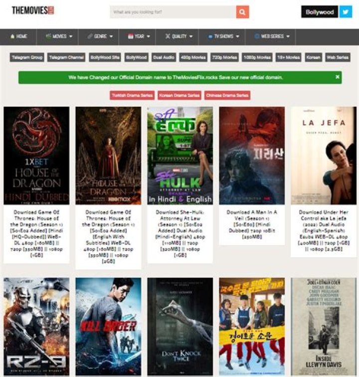 The Ultimate Guide to TheMoviesFlix.in.net: Your Gateway to Movies and Shows