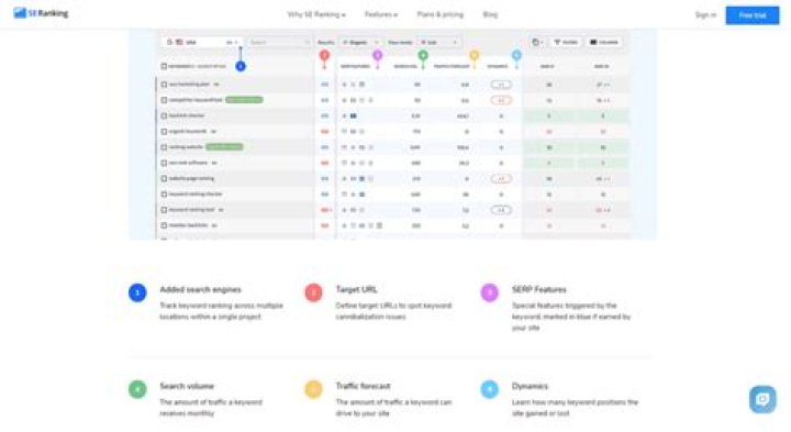 Unlocking Success: The Importance of Daily Keyword Rank Tracking
