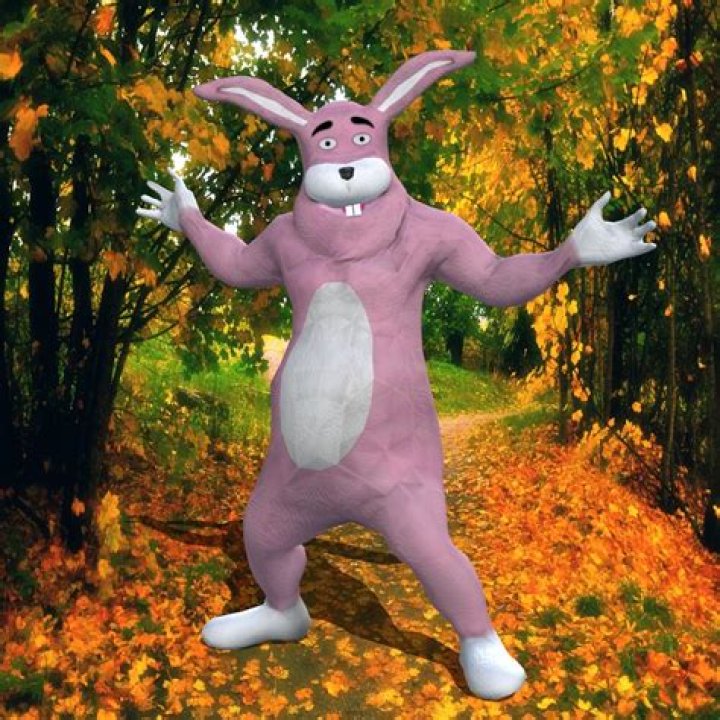 Unpacking the Buff Bunny Controversy: A Deep Dive into the Drama