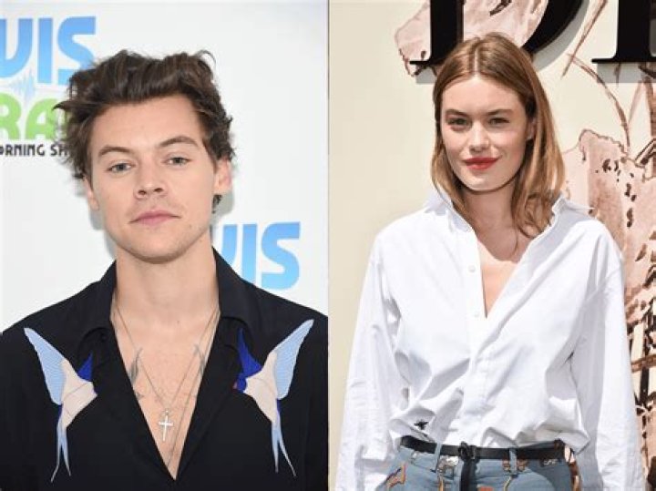 Unraveling the Connection Between Harry Styles and Camille Rowe