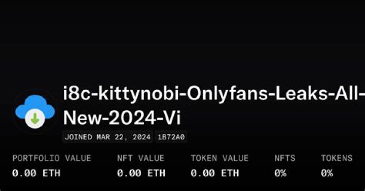 Unraveling the Mystery of the Kittynobi Leak