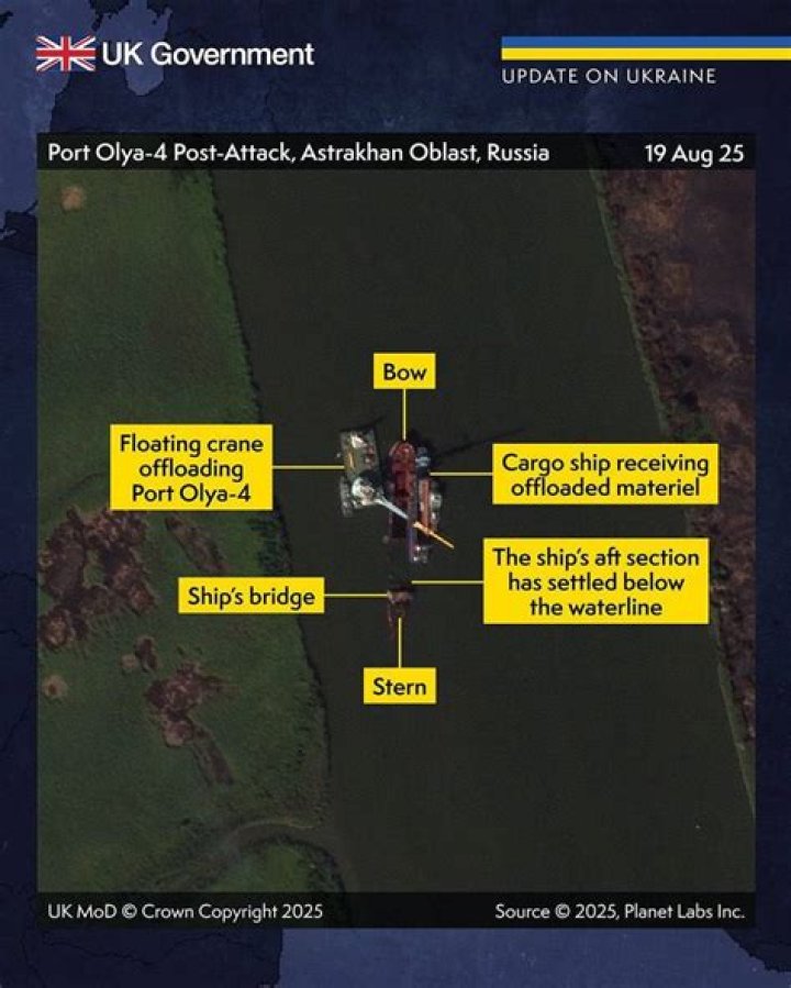 Unraveling the Mystique of Maks23 Twitter: A Digital Phenomenon