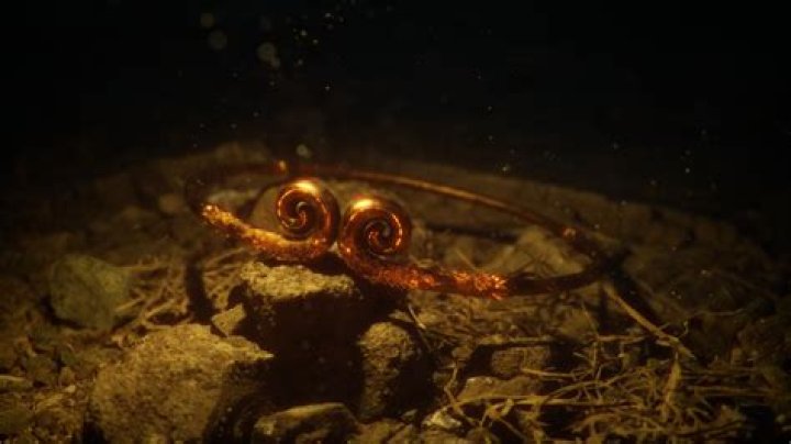 Unveiling the Enigmatic Life of Tiara Torres