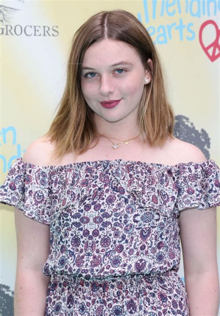 Unveiling the Life and Legacy of Jamison Belushi