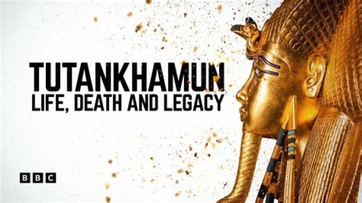 Unveiling the Life and Legacy of Sandi Graham